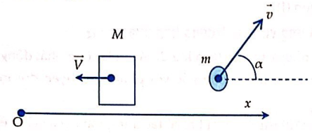 Giá trị \(\alpha \) bằng 	A. 60°. 	B. 30°. 	C. 45°. 	D. 75°. (ảnh 1)