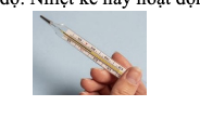 Hình dưới là một nhiệt kế thủy ngân dùng để đo nhiệt độ. Nhiệt kế này hoạt động dựa trên (ảnh 1)