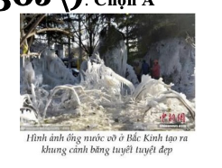 Rạng sáng ngày (ảnh 1)