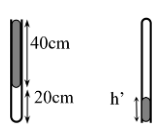 Ống thủy tinh dài 60 cm đặt thẳng đứng đầu hở ở trên, đầu kín ở dưới. Một cột không khí cao 20 cm bị giam trong ống bởi  (ảnh 1)