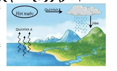 Nước có vai trò rất quan trọng trong cuộc sống. Sự biến đổi các trạng thái của nước tạo nên một vòng tuần hoàn được gọi là vòng tuần hoàn của nước. (ảnh 1)