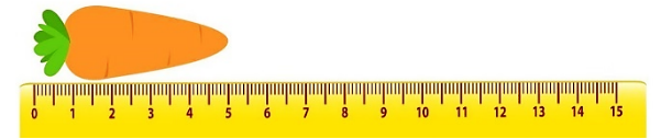 Củ cà rốt dài:  A. 5 cm B. 4 cm C. 6 cm D. 3 cm	 (ảnh 1)