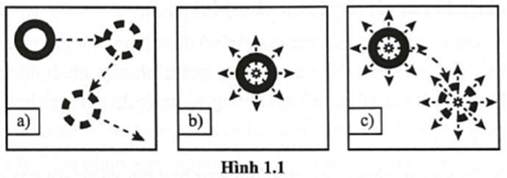 Hình 1.1 mô tả chuyển động phân tử ở các thể khác nhau. Hình cầu là phân tử, mũi tên là hướng chuyển động của phân tử. Hình 1.1 mô tả chuyển động phân tử tương ứng với thể rắn, thể lỏng và thể khí lần lượt tương ứng với hình nào? (ảnh 1)