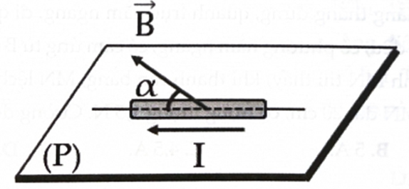 a) Lực từ tác dụng lên đoạn dây có phương vuông góc với mặt phẳng (P).  b) Lực từ tác dụng lên đoạn dây hướng lên phía trên mặt phẳng (P). (ảnh 1)