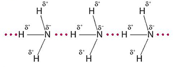 Ở trạng thái lỏng nguyên chất, phân tử chất nào sau đây tạo được liên kết hydrogen với nhau? (ảnh 1)
