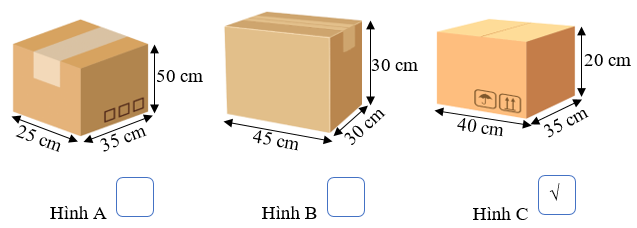Tích vào ô trống hình có diện tích toàn phần nhỏ nhất. (ảnh 2)