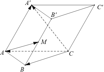 Cho hình lăng trụ ABC.A'B'C', M là trung điểm của BB'. Đặt vecto CA = a, (ảnh 1)