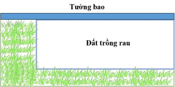 Gia đình bác Nam có một khu đất hình chữ nhật, một cạnh đã được xây tường bao (như hình vẽ). Trên khu đất này, bác Nam định cải tạo một phần đất để trồng rau (ảnh 1)