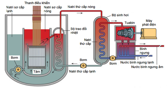 Lò phản ứng hạt nhân là một hệ thống được sử dụng để khởi tạo và điều khiển chuỗi phản ứng phân hạch hạt nhân dây chuyền và có các bộ phân như hình vẽ. Công dụng chính của thanh điều khiển trong lò phản ứng hạt nhân là (ảnh 1)