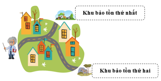 Một nhà nghiên cứu sinh thái cần di chuyển giữa hai khu bảo tồn thiên nhiên để quan sát và ghi chép về các loài động vật quý hiếm: (ảnh 1)