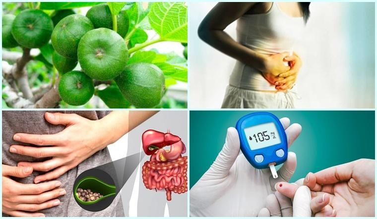 10 tác dụng chữa bệnh của quả sung có thể bạn chưa biết