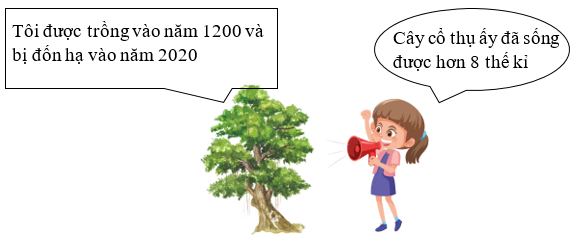 Điền đúng hoặc sai: Tôi được trồng vào năm 1200 và bị đốn hạ vào năm 2020 (ảnh 1)