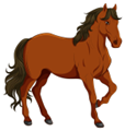 a horse (ảnh 3)