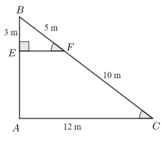 a) \(EF\;{\rm{//}}\;AC.\)  b) Tam giác \(ABC\) vuông tại \(A.\)  c) \(AB = 10\;{\rm{m}}{\rm{.}}\)  d) Diện tích tam giác \(ABC\) là \(54\;{{\rm{m}}^2}.\) (ảnh 1)