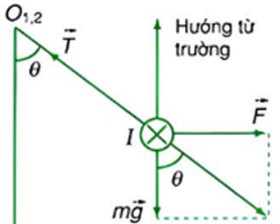 Giữa hai cực của một nam châm hình móng ngựa có một điện trường đều. Vector cảm ứng từ thẳng đứng và có độ lớn $0,55\ \mathrm{T}$. (ảnh 2)