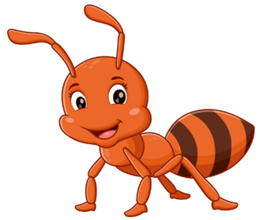 Choose the picture that begins with the letter N.
   (ảnh 2)