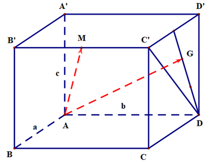 A diagram of a rectangle with lines and letters

Description automatically generated