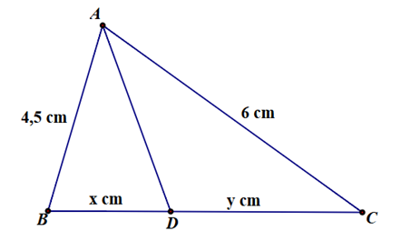 Cho \(\Delta ABC\), đường phân giác \(AD\) như hình vẽ. Tỉ số \(\frac{x}{y}\) bằng (ảnh 1)