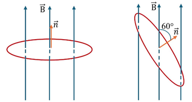 Một vòng dây dẫn phẳng hình tròn có diện tích S = 60 cm2 được đặt trong một từ trường đều có B = 0,2 T. Trong 0,5 s vòng dây quay đều được một góc 60° như hình bên. Độ lớn suất điện động cảm ứng trong vòng dây là (ảnh 1)