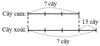 Trong một vườn cây, số cây xoài nhiều hơn số cây cam là 15 cây. Số cây cam bằng 3/4 số cây xoài (ảnh 1)