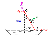 Một đoạn dây dẫn thẳng đồng chất, tiết diện đều, chiều dài l = 30 cm, khối lượng m = 10 g, đầu trên được treo vào điểm O và đoạn dây có thể quay tự do quanh O, đầu dưới chạm vào thủy ngân đựn (ảnh 2)