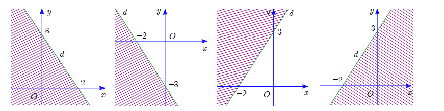 vvvvvvvv (ảnh 1)