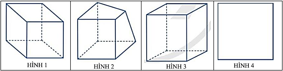 Hình nào sau đây không phải là biểu diễn cho hình lập phương?   	 (ảnh 1)
