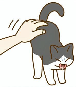 Read and choose the correct answer. “Touch your hair.” (ảnh 3)