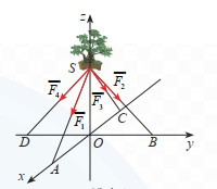 Một chậu cây được đặt trên một giá đỡ có bốn chân với điểm đặt \(S\left( {0;0;30} \right)\) và các điểm chạm mặt đất của bốn chân lần lượt là \(A\left( {30;0;0} \right),B\left( {0;20;0} \right),C\left( { - 20;0;0} \ri (ảnh 1)