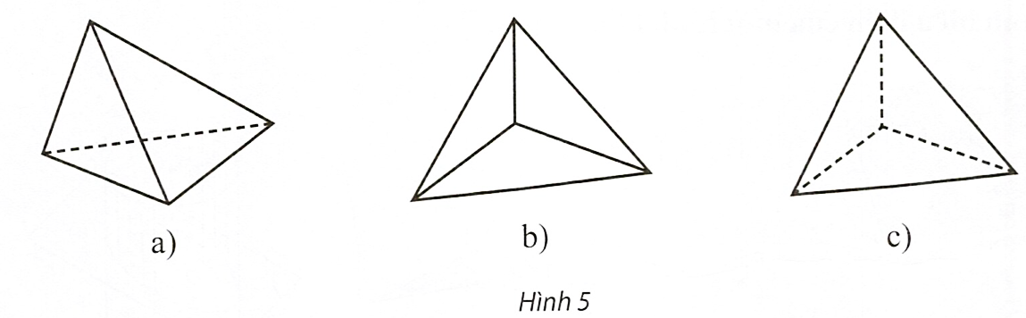 Trong Hình 5, hãy cho biết hình nào là hình biểu diễn của tứ diện? (ảnh 1)
