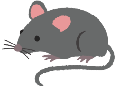 m____se (mouse: con chuột) (ảnh 1)