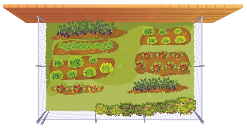 Anh Nam có một mảnh đất rộng và muốn dành ra một khu đất hình chữ nhật có diện tích 200 m2 để trồng vài loại cây mới. Anh dự kiến rào quanh ba cạnh của khu đất hình chữ nhật này bằng lưới thép, cạnh còn lại sẽ tận dụng bức tường có sẵn. (ảnh 1)