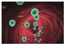 Khi loại thuốc A được tiêm vào bệnh n (ảnh 1)