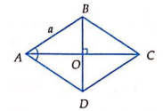 Chọn A   Vì \(\widehat A = 60^\circ  \Rightarrow \Delta ABC\) đều \( \Rightarrow AO = \frac{{a\sqrt 3 }}{2} \Rightarrow \left| {\overrightarrow {AO} } \right| = \frac{{a\sqrt 3 }}{2}\) (ảnh 1)