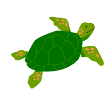 Look and choose the correct answer.    A. top B. tiger C. turtle (ảnh 1)