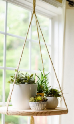 Một giỏ hoa treo trong nhà làm bằng 3 sợi dây không giãn (ảnh 1)