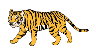 Look and choose the correct answer.  Look at the ________! A. cat B. tiger C. horse (ảnh 1)