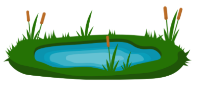 Look and choose the correct answer.  Look at the ________.  A. duck B. lake C. lock (ảnh 1)