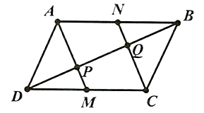 Cho hình bình hành \(ABCD\). Gọi \(M,N\) lần lượt là trung điểm của \(DC,AB.P\) là giao điểm của \(AM,DB\) và \(Q\) là giao điểm của \(CN,DB\). Khi đó \(\overrightarrow {DP}  = \overrightarrow {PQ}  = \overrightarrow {QB} \) đúng hay sai? (ảnh 1)