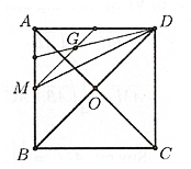 Cho hình vuông \(ABCD\) tâm \(O\), (ảnh 1)