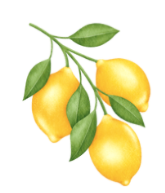 Look and choose the correct answer.  Look at the ___________.  A. mops B. mangoes C. lemons (ảnh 1)