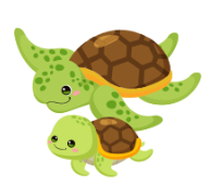 Look and choose the correct answer.  The two ________ are swimming.  A. ducks B. fish C. turtles (ảnh 1)