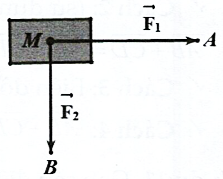 Cho hai lực \(\overrightarrow {{F_1}}  = \overri (ảnh 1)