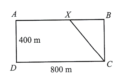 Một vận động viên thể thao hai môn phối h (ảnh 1)