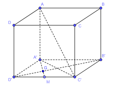 Cho hình lập phương \[ABCD.A'B'C'D'\]có cạnh bằng \[a\]. Gọi \[M\] là trung điểm của \[D'C'\] và \[G\] là trọng tâm  \[\Delta A'D'C'\] . Tính tích vô hướng của hai vectơ \[\overrightarrow {AC'} \] và \[\overrightarrow {A'G} \]. (ảnh 1)