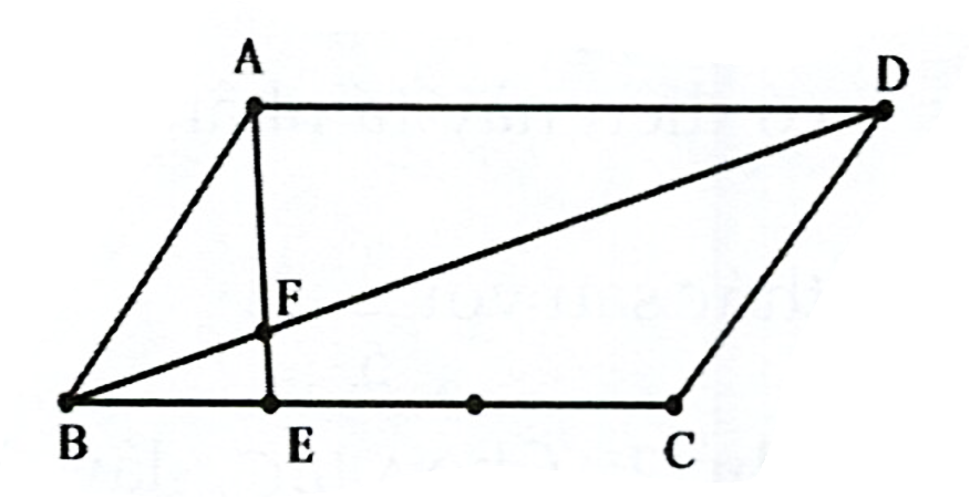 Cho hình bình hành \(ABCD\). Gọi \(E\) và \(F\) là 2 điểm thỏa \(\overrightarrow {BE}  = \frac{1}{3}\overrightarrow {BC} \), \(\overrightarrow {BF (ảnh 1)