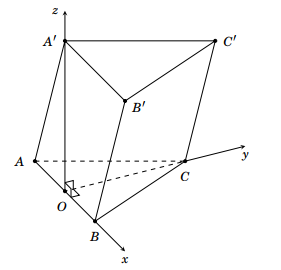 Cho hình lăng trụ \(ABC \cdot A'B'C'\) có đáy \(ABC\) là tam g (ảnh 1)