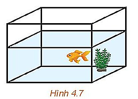 Trong Hình 4.7, mặt nước và thành bể có giao nhau theo đường thẳng hay không?   (ảnh 1)