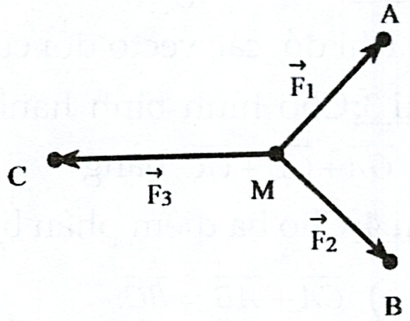 Cho ba lực \({\vec F_ (ảnh 1)