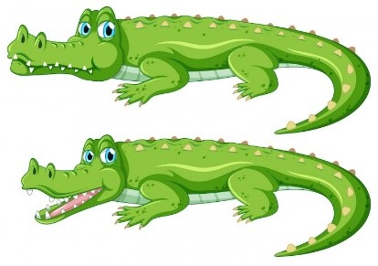 Task 4. Look and write. 1.   	What are they? _______________ crocodiles. (ảnh 1)